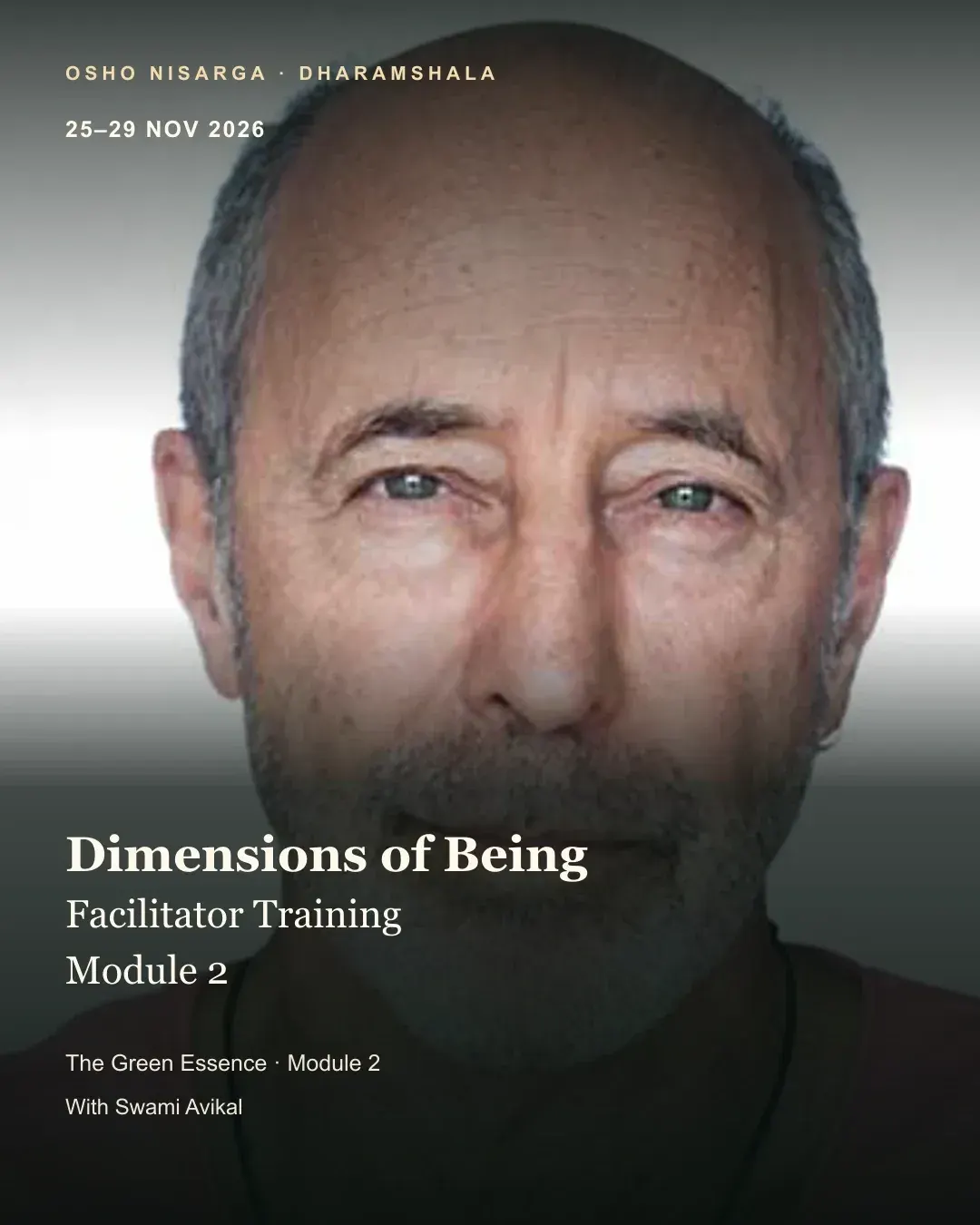 Dimensions of Being Facilitator's Training 2026/27: Module 2
