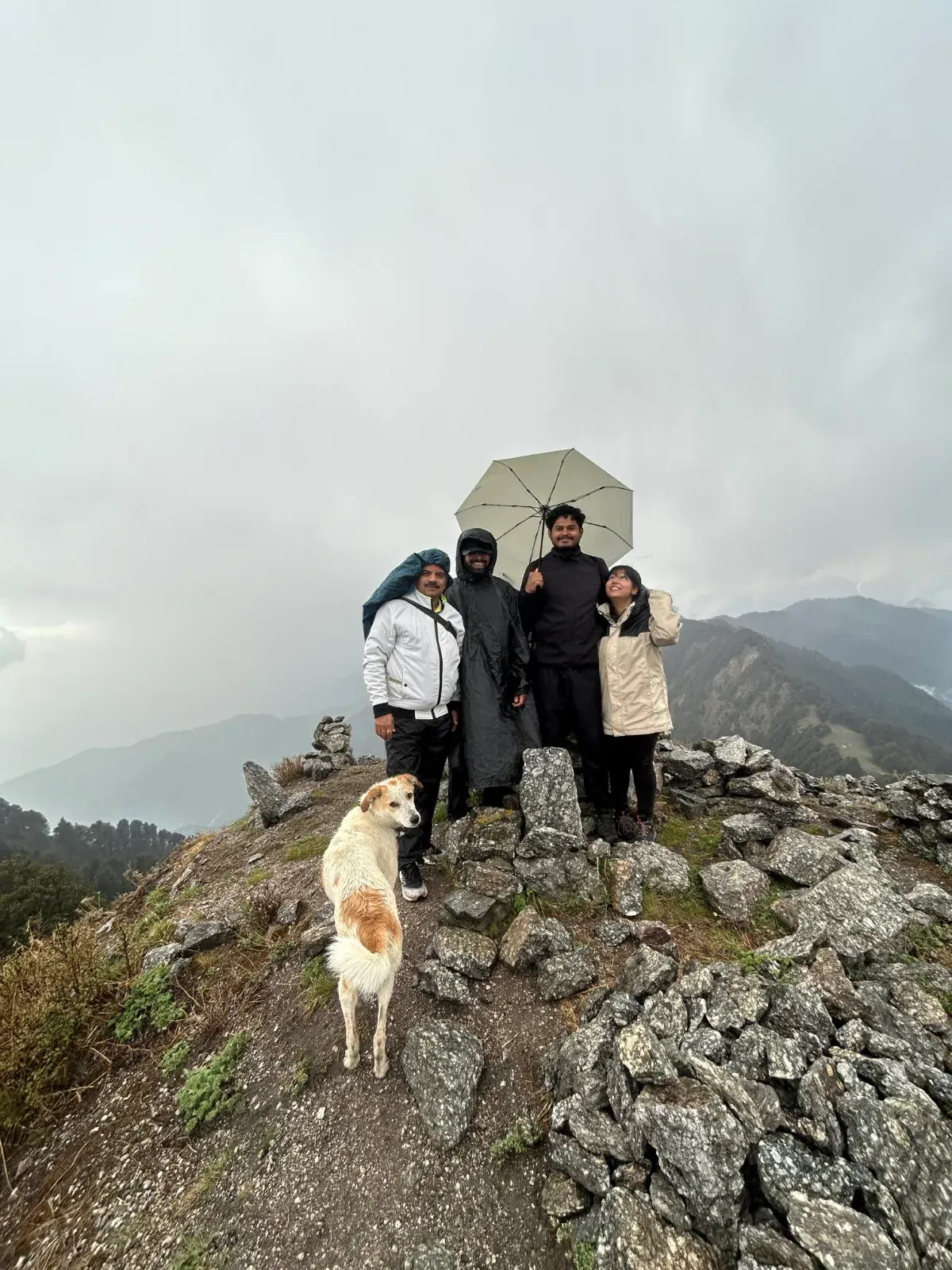 Offbeat Walks with Daisy - Explore Bir like a Local